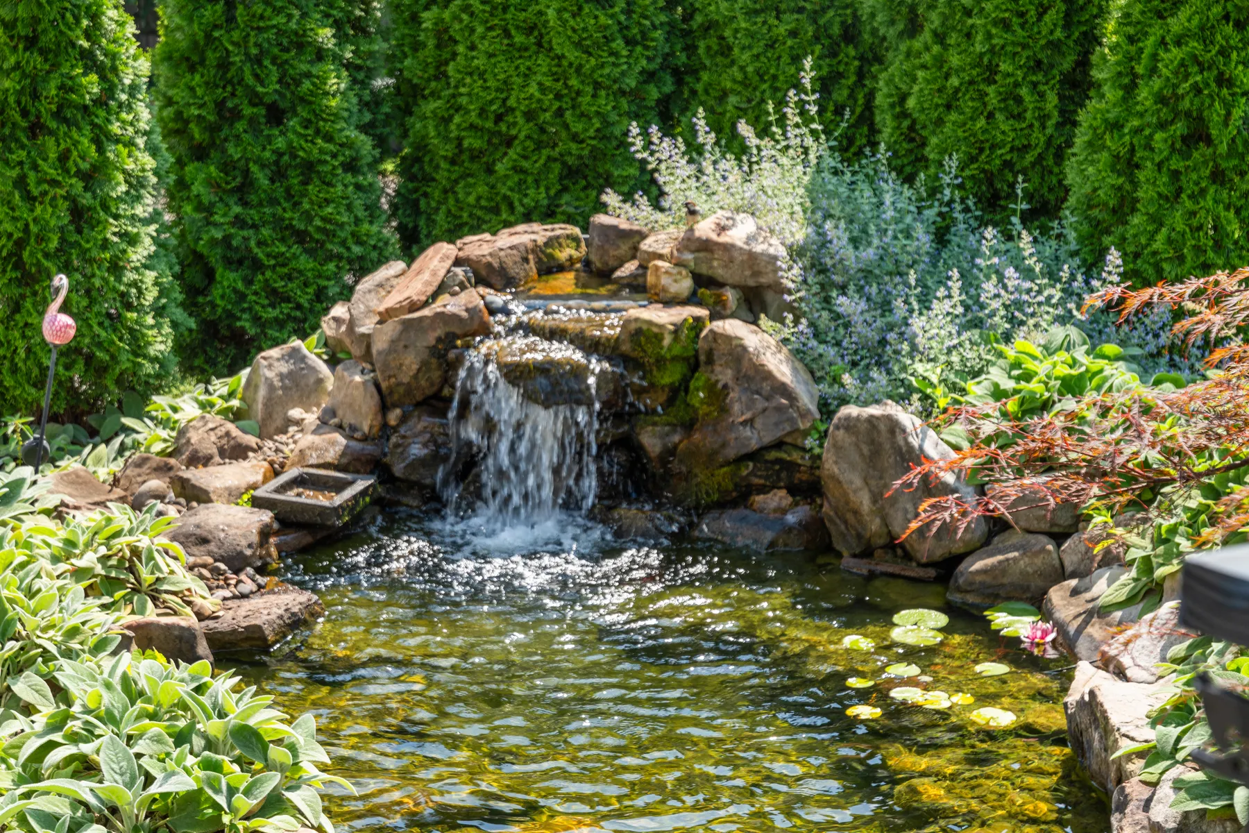 Landscaped koi pond with a waterfall