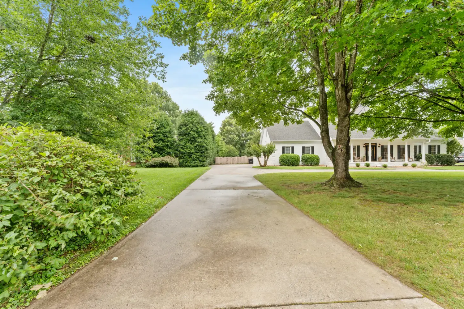 Tree-lined driveway approaching the estate