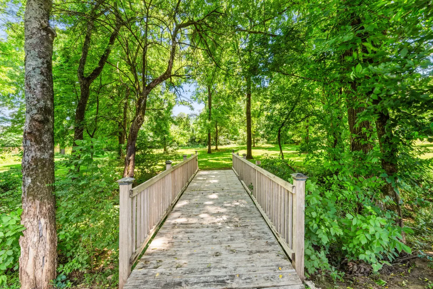 Wooden footbridge crossing the creek into the wooded rear grounds